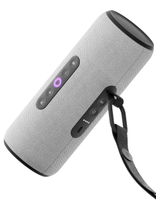 Портативная Яндекс Станция Стрит (Cерый)