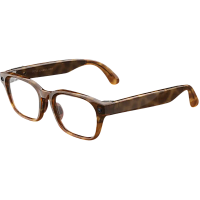 Умные очки Meta Adventurer (Classic Tortoise/Clear Large)