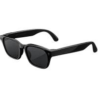 Умные очки Meta Adventurer (Classic Black/Polar Grey Standart )