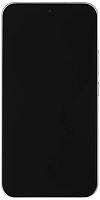 a2